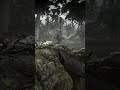 ghillie suit hiding in the grass