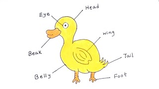 HOW TO DRAW A DUCK| STEP BY STEP TUTORIAL ?