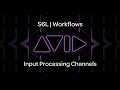 VENUE | S6L — Input Processing Channels