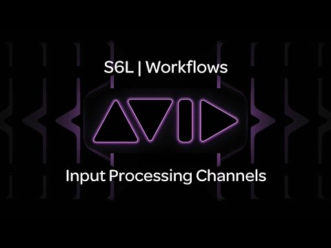 VENUE | S6L — Input Processing Channels