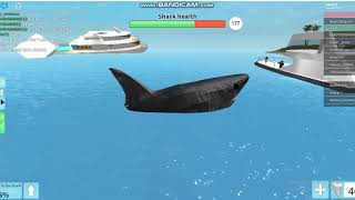 Roblox Killer Sharks Shark Attack Apphackzone Com - chi fix loi roblox ko chat dc apphackzonecom