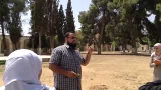اقتلاع أشجار المسجد الأقصى بصورة ممنهجة  - الأستاذ رضوان عمرو