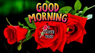 तेरी हर सुबह❣️Good morning status🥀Good morning video🌹Good morning photo🥀Good morning🌹Gulab phool screenshot 4