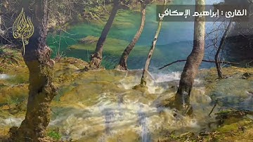 تلاوة تريح القلب |صوت خاشع 🤎| متكئين فيها على الأرآئك