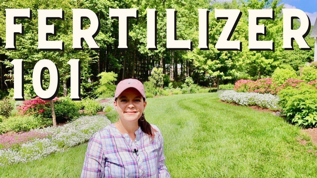 Food Equals Flowers: What You Need to Know About Fertilizing