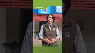 Mejoran la reproducción porcina en el NEA