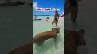 Social media vs reality #travel #destination #explore #adventure #automation Music: Makeba byJian