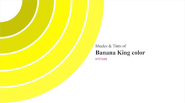 Shades & Tints of Banana King color #fffb08 A Warm Yellow color #e2df07 #c6c306 #fffb23 #fffb3e