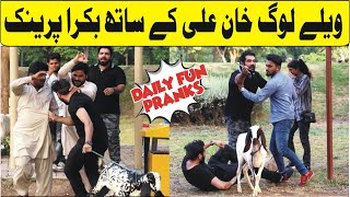 Velleloogkhanali4448 Eid Bakra Prank 2021