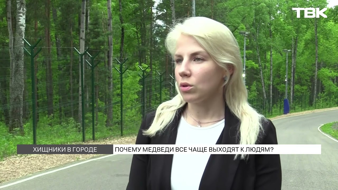 Почему медведи выходят к людям?