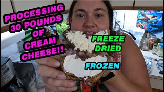 Which is better?! Preserving 30 POUNDS of Cream Cheese!