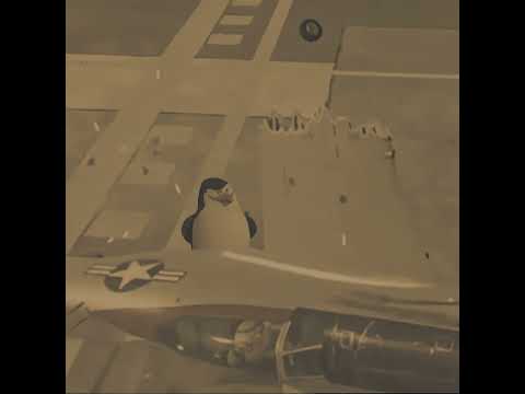 I'm Still Landing