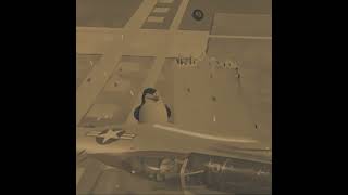 I'm Still Landing