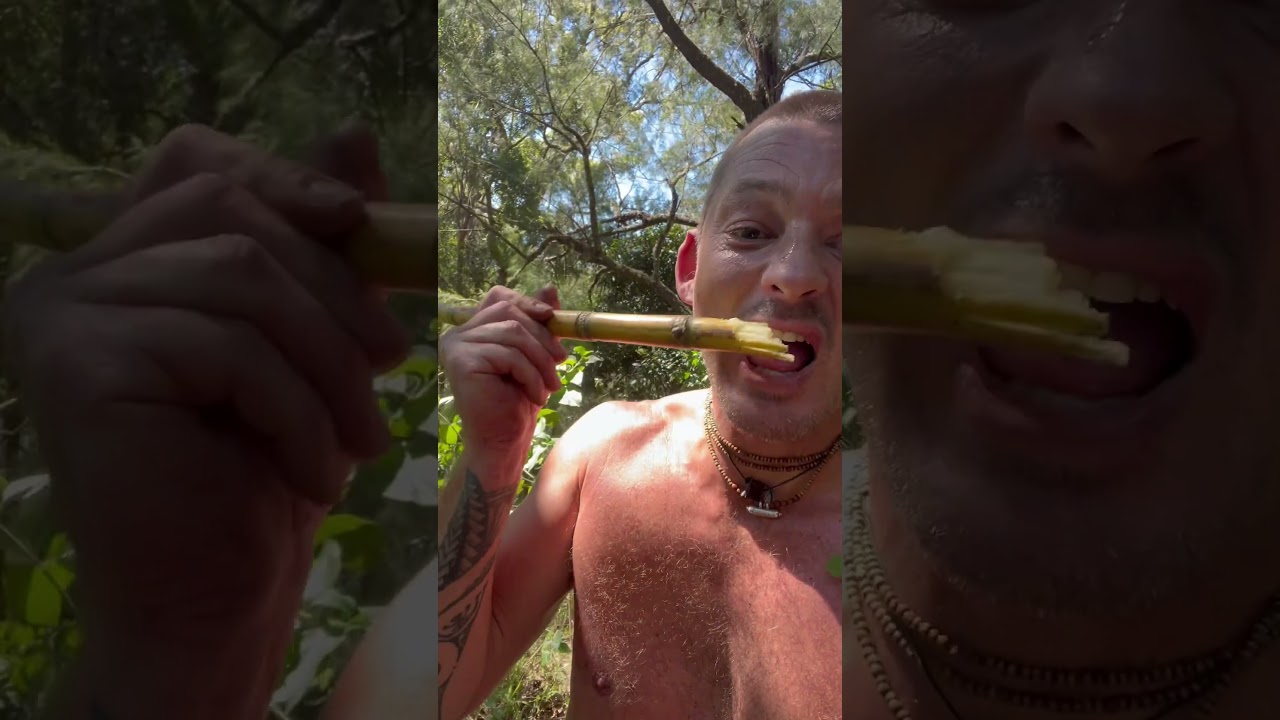 Survival skills in the bush 