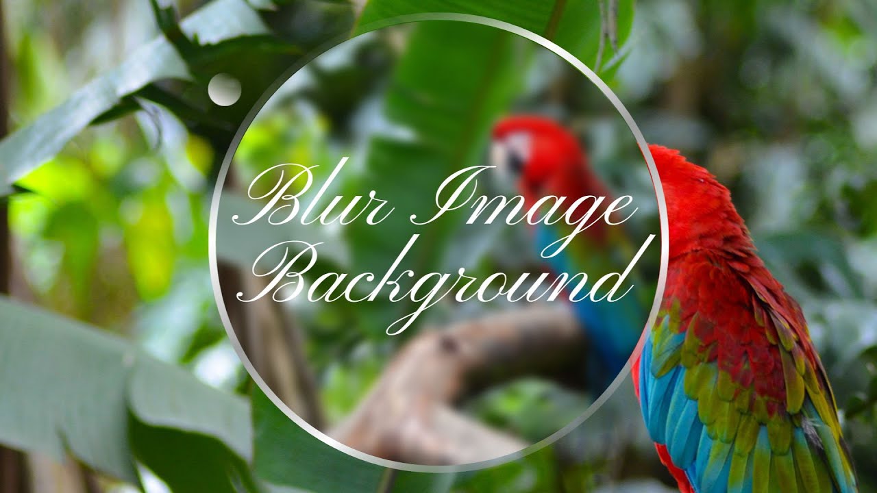 Adobe Photoshop - How to Blur Image Background - YouTube