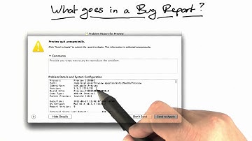Example Bug Report - Software Debugging