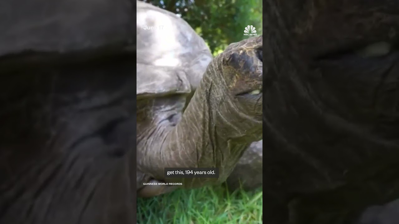 World’s oldest tortoise turns 194 years old