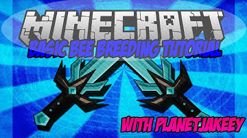 ▶ Feed The Beast Tutorial: Basic Bee Breeding