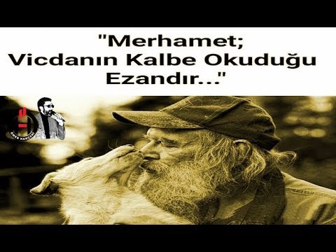 Merhamet vicdanın kalbe okuduğu \