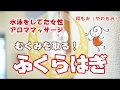 【ふくらはぎマッサージ】アロマオイルで女性の足むくみ対策　[和もみ®（やわもみ）]