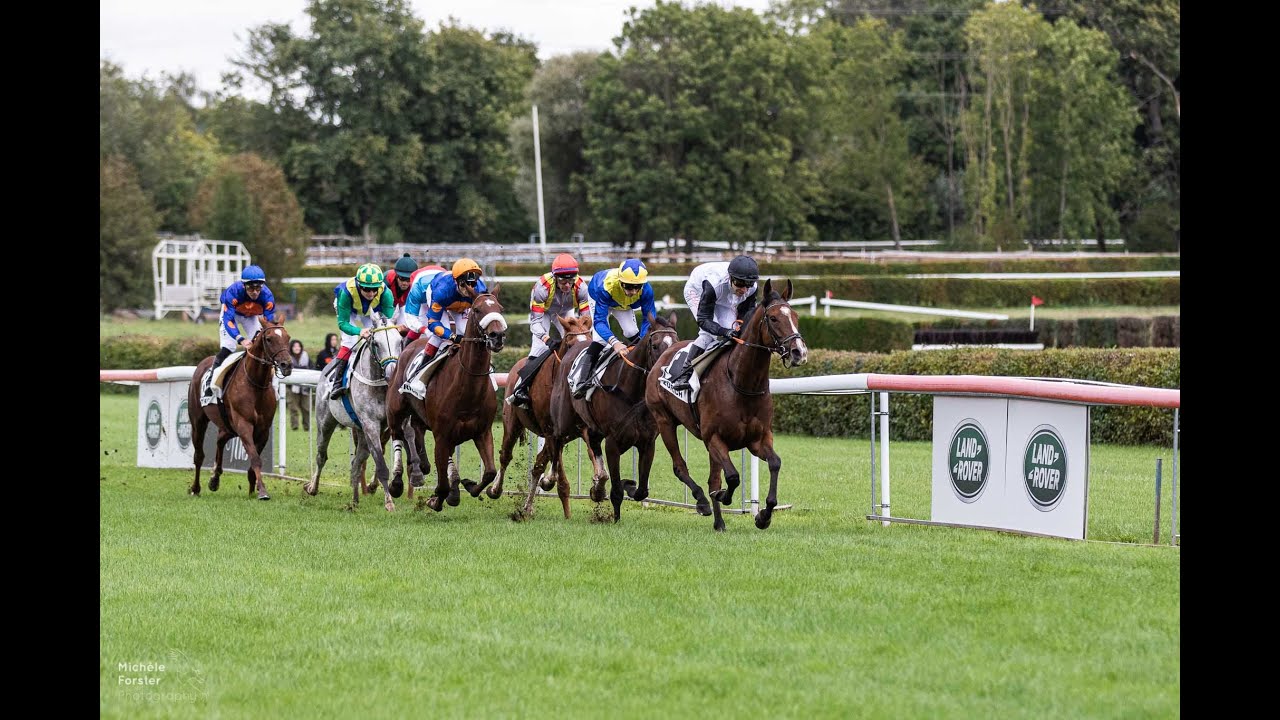 Pferderennen Zürich-Dielsdorf