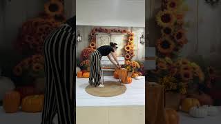 Watch Fall Backdrop video