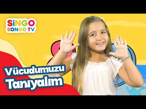 VÜCUDUMUZU TANIYALIM ✋👃👁 – SİNGOSONGO TV I ÇOCUK ŞARKILARI 🎶