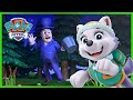The Phantom Of The Frog Pond PAW Patrol Episode Cartoons For Kids 