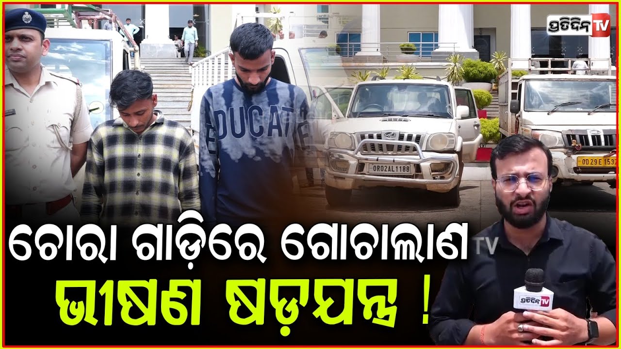ଚୋରା ଗାଡ଼ିରେ ଗୋଚାଲାଣ ଭୀଷଣ ଷଡ଼ଯନ୍ତ୍ର ! Stolen Vehicles & Cow Smuggling pipili Racket Busted.