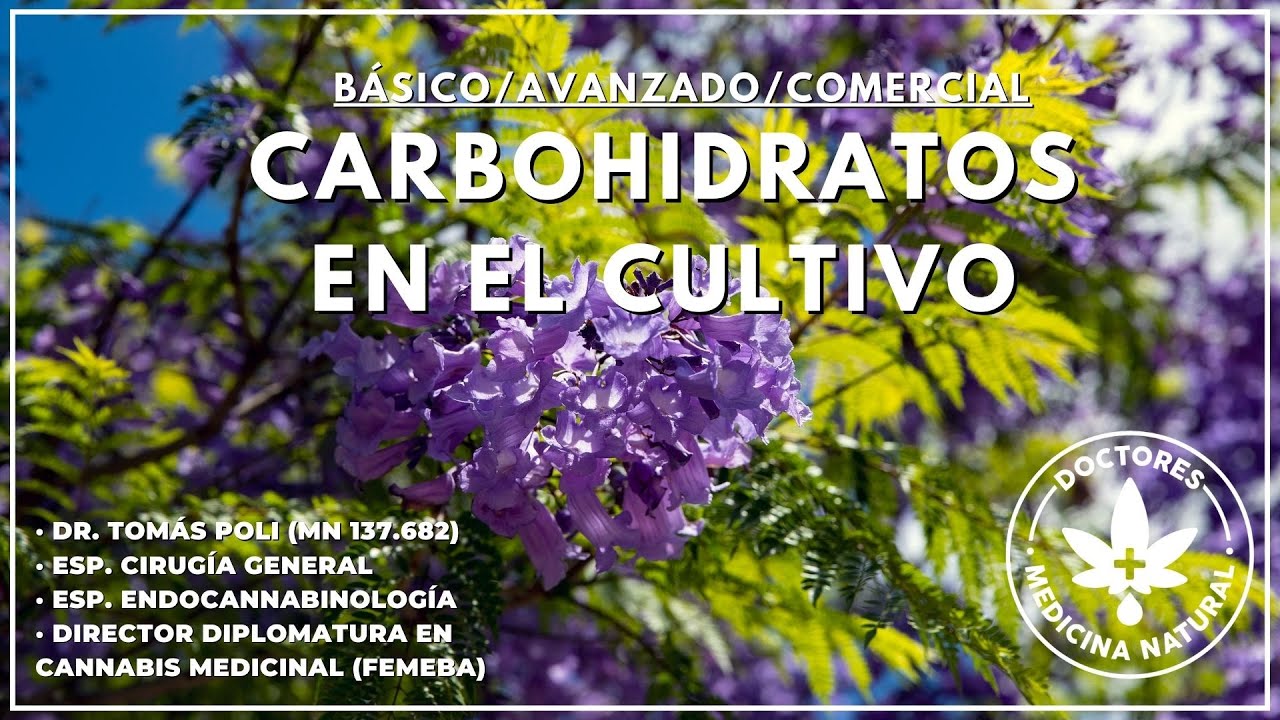 Uso de Carbohidratos en el cultivo