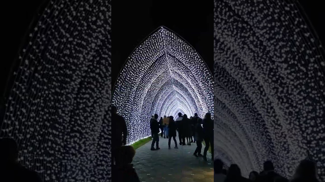 @ king park light scape jul2024