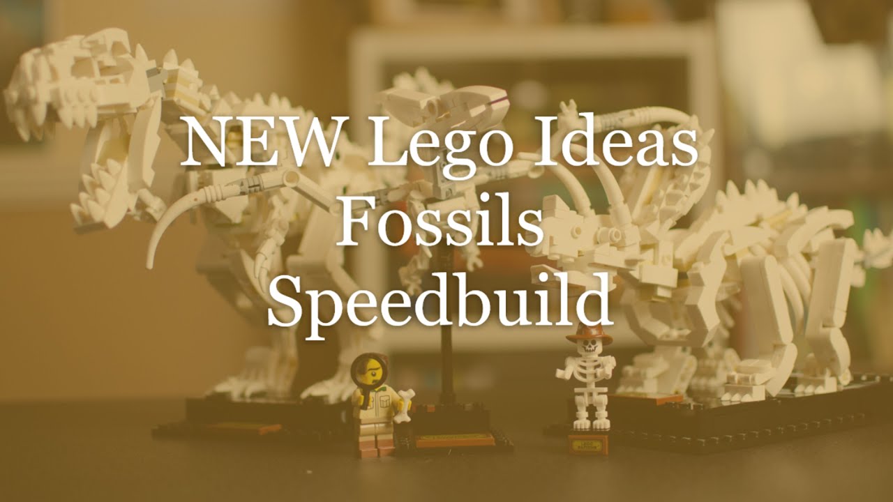 LEGO IDEAS FOSSILS SET 21360 | Dinosaur Fossils | Speed Build 028 | 