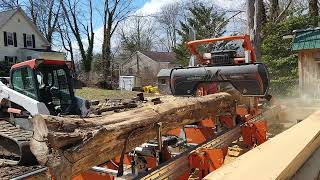 CRAPY BLACK LOCUST INTO GOLD! Finishing milling the Hino truck deck on the Norwood HD36v2.