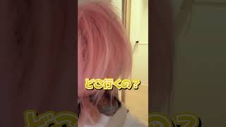 I Tried Waking Up A Sleeping Pro Gamer By Saying Youre Late...