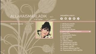 Sezen Aksu   Seni Gidi Vurdum Duymaz  Audio