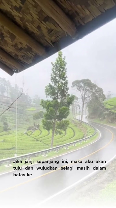 Bawalah aku bersamamu #tv #musik #dj #music #selfreminder #katakatahatiku #cover #storywa #kataku