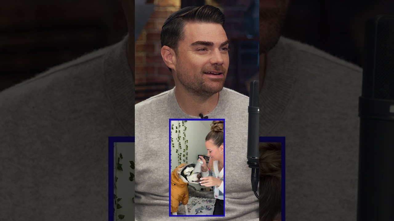 The Walter White of Dogs