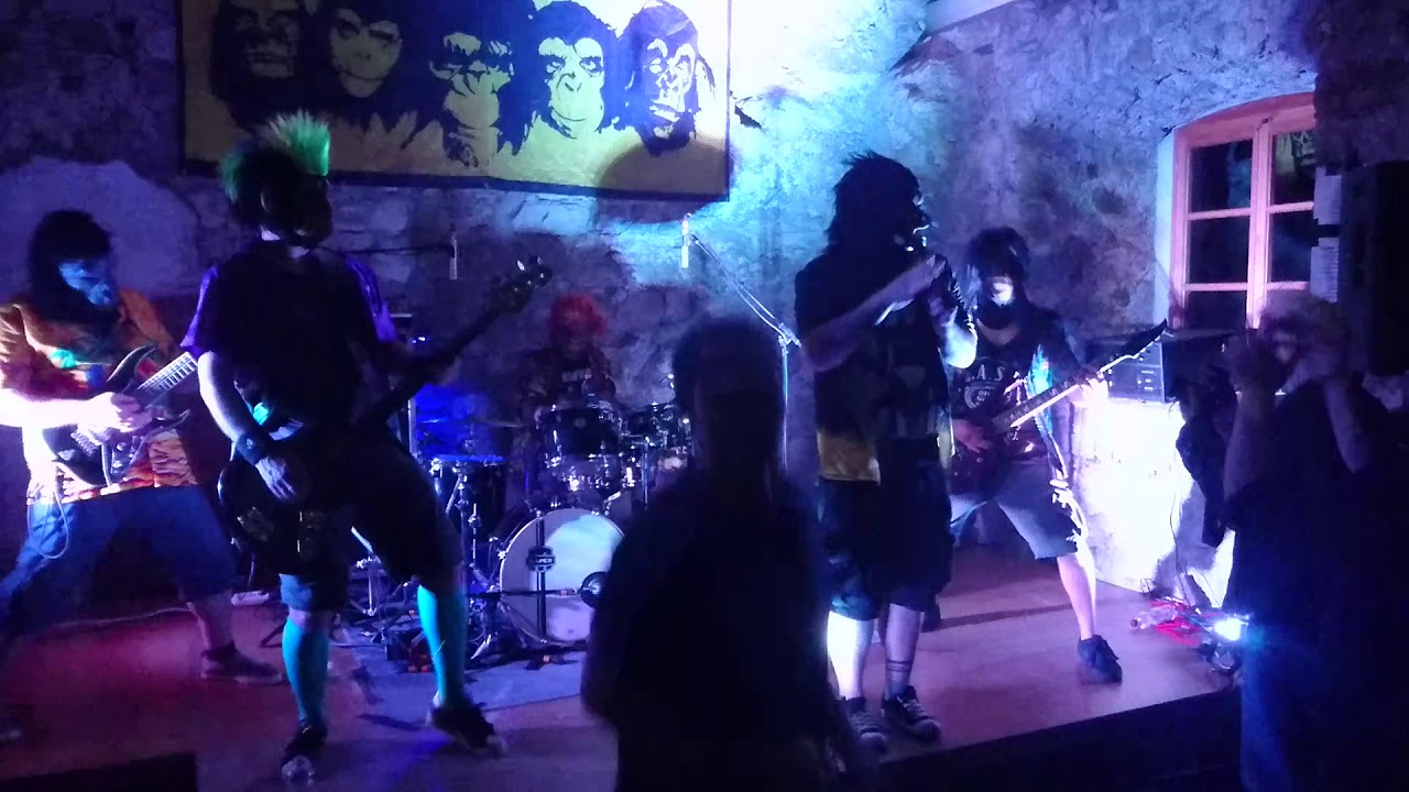 Badass Soundfactory (B.A.S.F.) - The Bad Touch (Live in Arnoldstein)