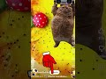 😱😱Impossible game #hardpuzzles #kidssong #colur #megical