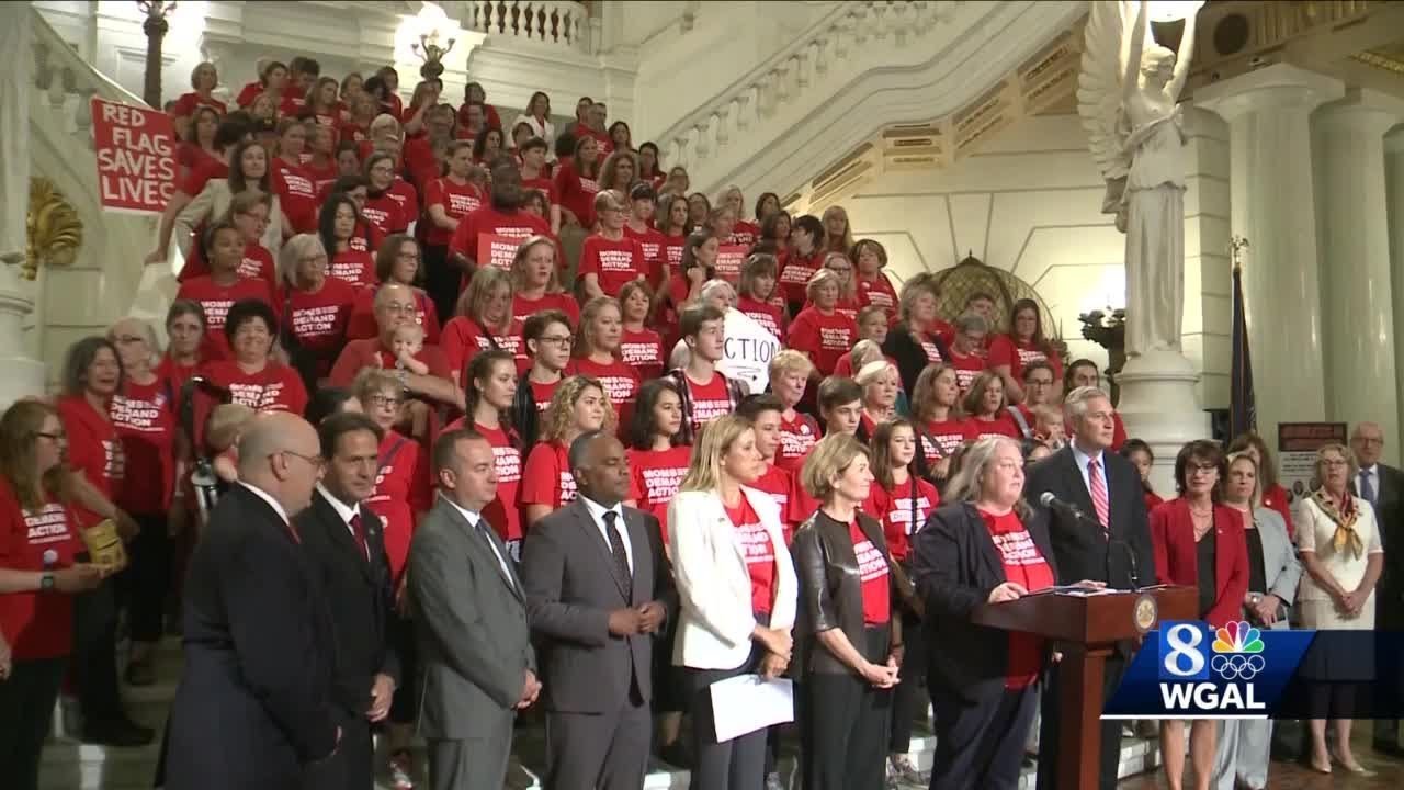 Parents, lawmakers rally for 'red flag' bill to prevent firearm suicides