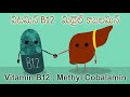 Importance of Vitamin B12 -methyl cobalamin