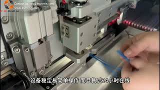 Semi-automatic Prick Type Connector Assembly Machine WL-CP028 - Suzhou Crown