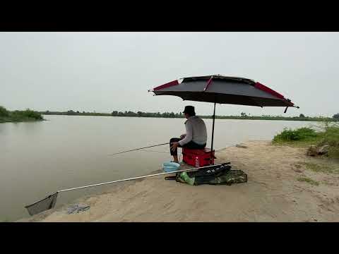 Video Câu đài tự nhiên - Bong mất con cá to 7 - youtube