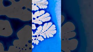 the marangoni effect
if anyone needs me Im going to be staring at these for the next 3–4 days
#macro #marangoni #chemistry
Reactions is a production of the American Chemical Society.
© 2025 American Chemical Society. All rights reserved. the marangoni effect