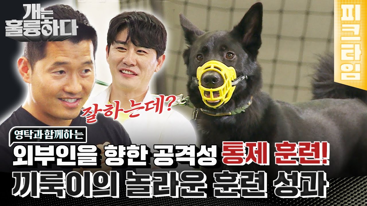 [#피크타임] 영탁의 등장에도 얌전한 끼룩이! 