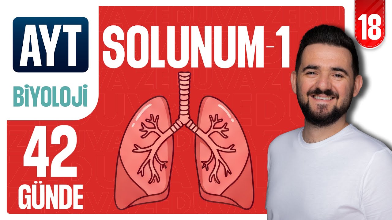 Solunum Sistemi - Soru Çözümü | 42 GÜNDE AYRINTILI AYT BİYOLOJİ KAMPI 2026-2027 | 18.GÜN