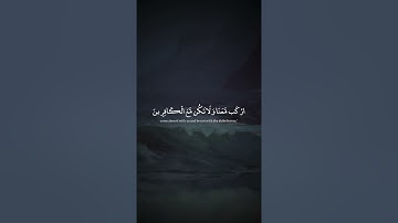 وقال اركبوا فيها بسم الله مجراها ومرساها إن الله ربي لغفور رحيم سورة هود ايات ٤١ ٤٤ اسلام صبحي
