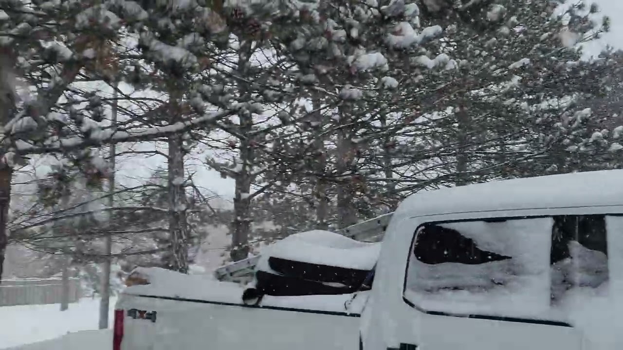 Welcome to Canada - Toronto Storm 2026 Jan 14 Milliken Park 