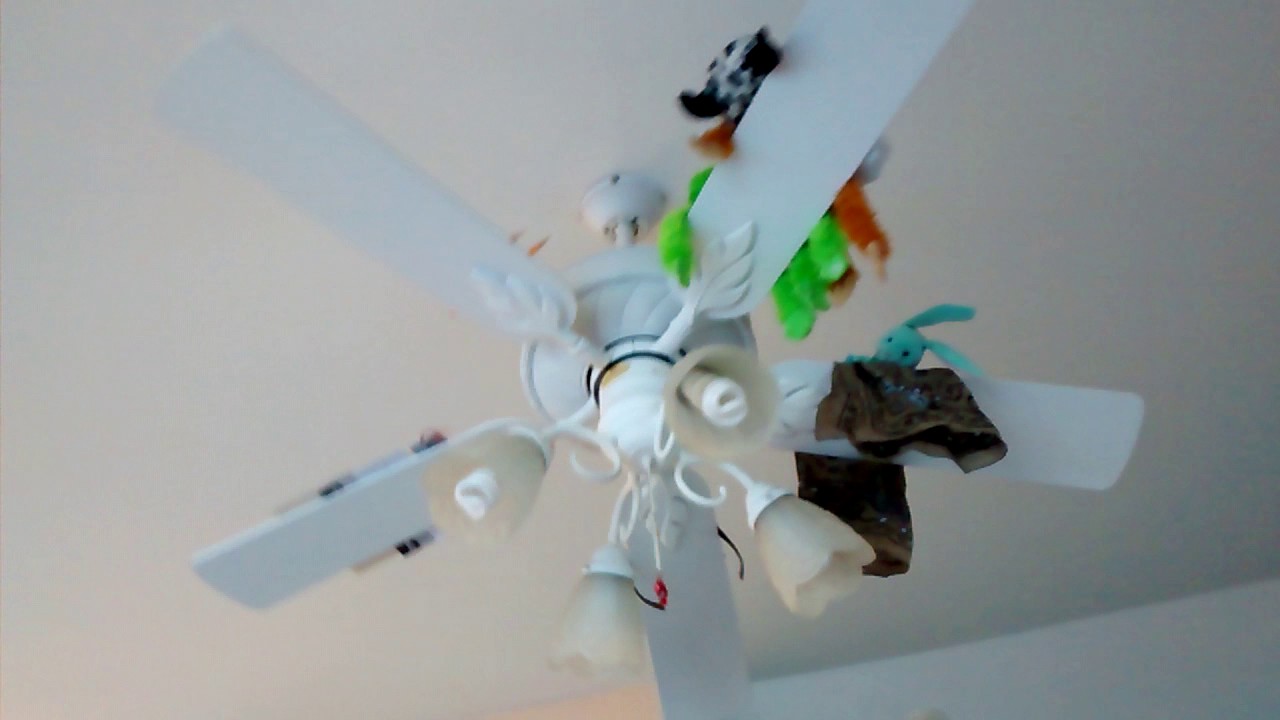 Things Falling Off A Ceiling Fan Part 4