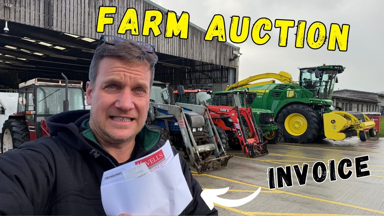 Мы пошли на аукцион ради одной вещи… А вернулись домой с ЭТИМ!